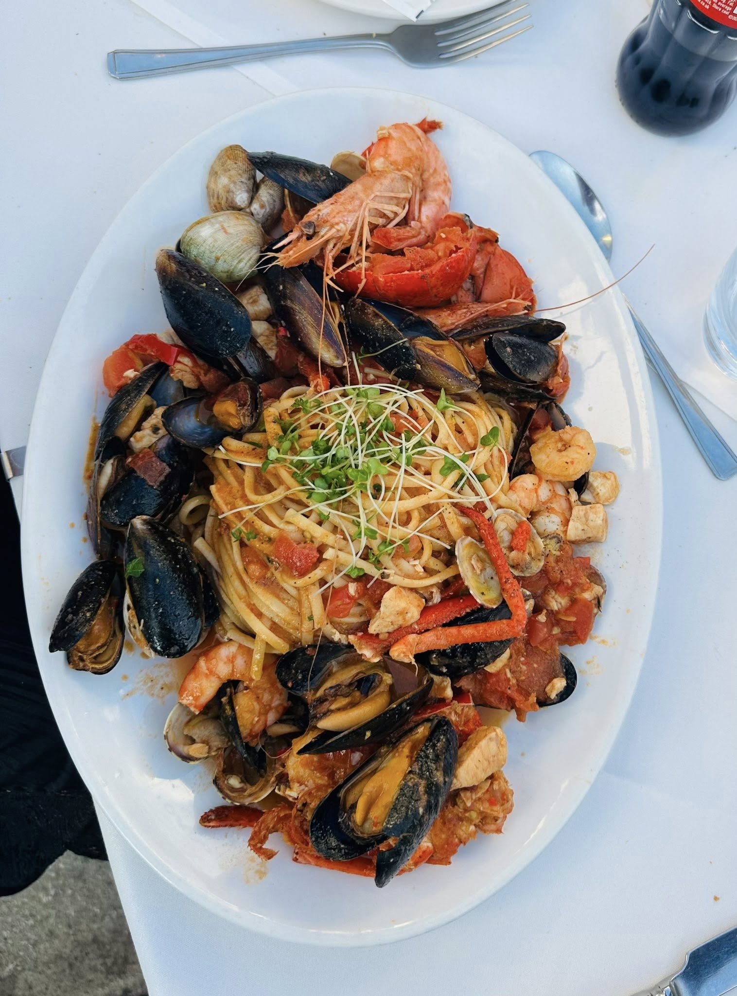 498266456_1510908270337685_6431468668567204418_n